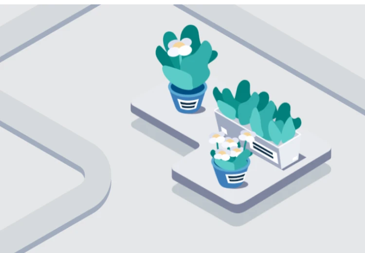 Flower Identification