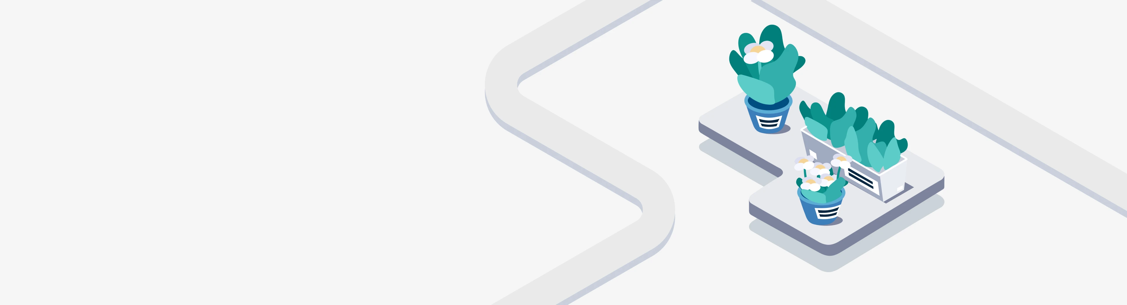 Flower Identification